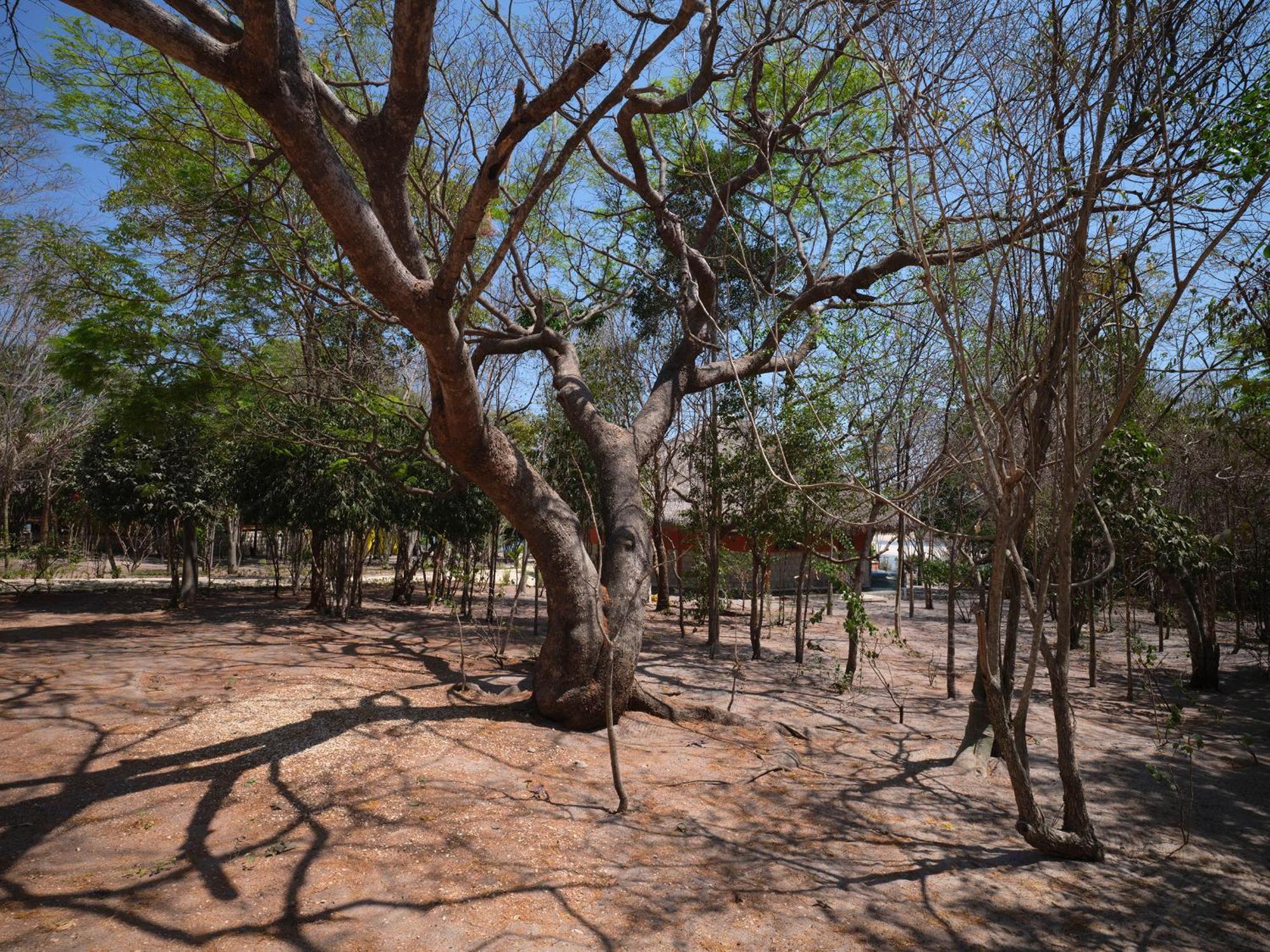 Antsanitia Resort Mahajanga Extérieur photo